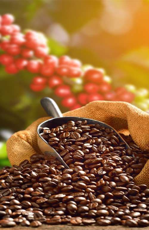 coffee